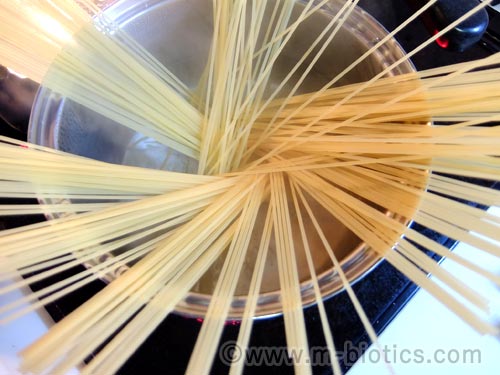 北のパスタ　ゆめちからブレンド　きたほなみ