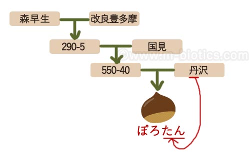 ぽろたん　むき方　栗おこわ　レシピ　炊飯器