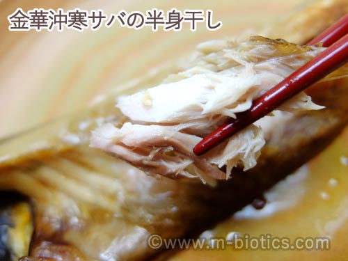 間宮塩蔵　間宮商店　干物　お試しセット