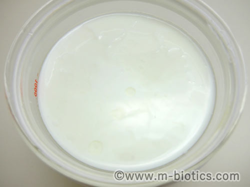 ABCT種菌によるヨーグルトの作り方　できあがったヨーグルトのフタを開けたところ