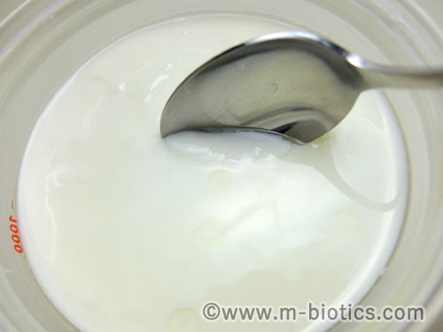 ABCT種菌によるヨーグルトの作り方　できあがったヨーグルトにスプーンを入れたところ