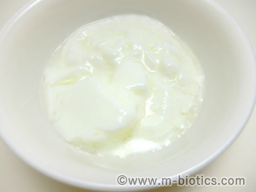 ABCT種菌によるヨーグルトの作り方　できあがったヨーグルトを器によそったところ