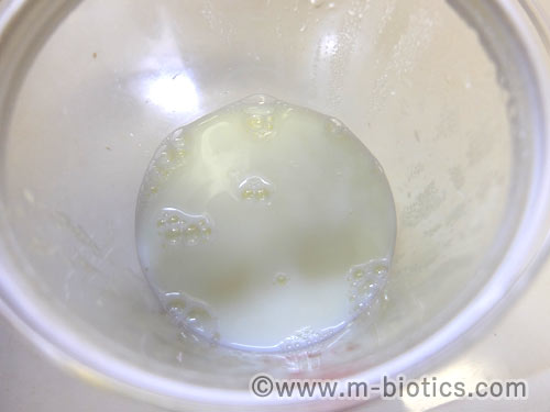 ヨーグルティアの内容器に牛乳を入れる