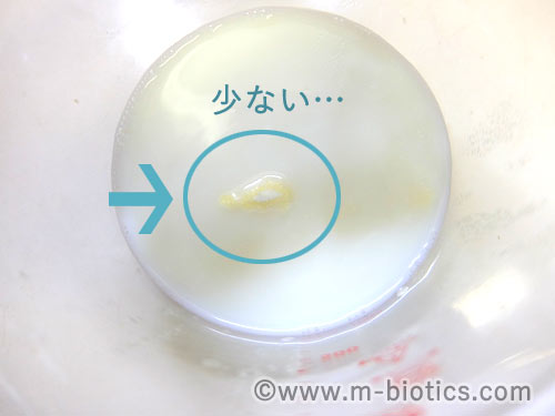 ABCT種菌によるヨーグルトの作り方　ABCT種菌を牛乳に全部入れ終えたところ