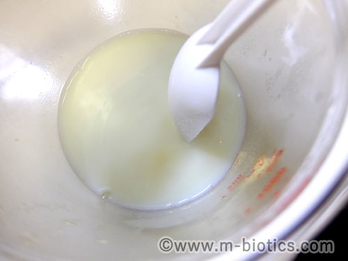 ABCT種菌によるヨーグルトの作り方　　ABCT種菌を牛乳に混ぜているところ