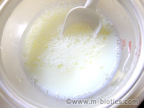 ABCT種菌によるヨーグルトの作り方　ABCT種菌と牛乳をさらに混ぜているところ