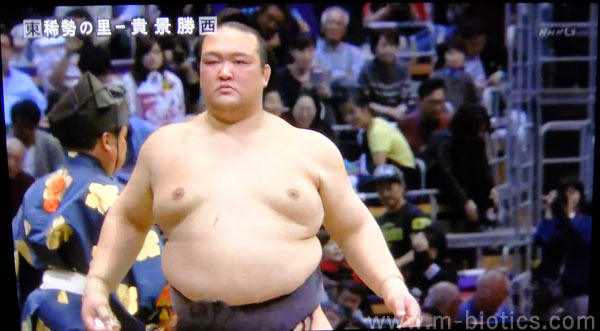 大相撲 稀勢の里が夢に出てきた ファンは失望していない 納得いくまで諦めないで頑張ってほしい 18 12 大相撲春夏秋冬