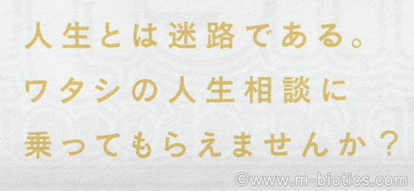 明治ブラックチョコ バレンタイン