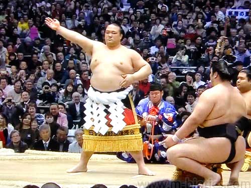 稀勢の里