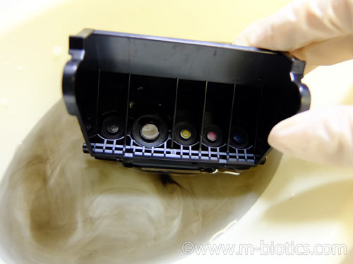 キヤノン　プリンター　MP610　黒が出ない　水を取り替える　PGBK　bci 9bk