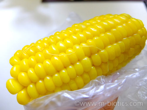 美味しいとうもろこし ゆで方