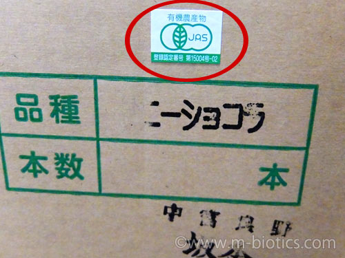 美味しいとうもろこし ゆで方