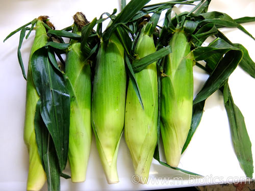 美味しいとうもろこし ゆで方