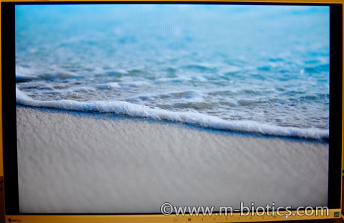EIZO FlexScan EV2455-WTR