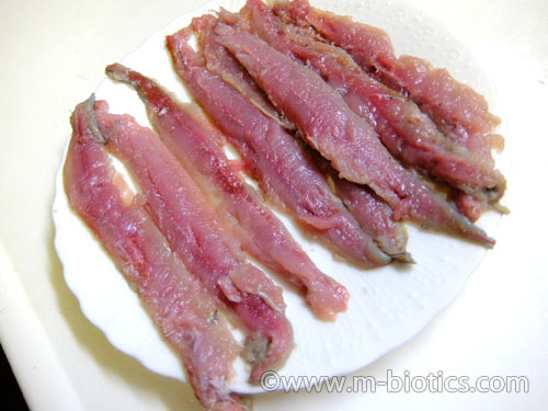 さんま 甘酢焼き 三枚おろし