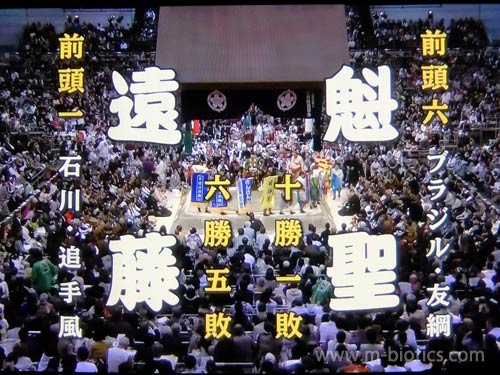 相撲