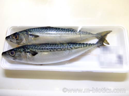魚　骨抜き