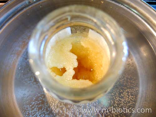 蜂蜜　結晶化　湯煎　熱湯