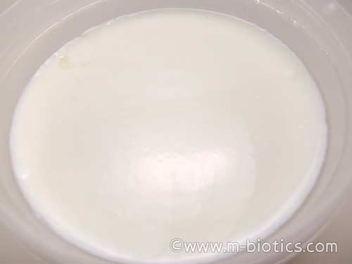 スキムミルク　脱脂粉乳　ヨーグルト　ヨーグルティア
