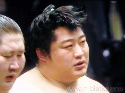 大相撲 遠藤が逸ノ城のワキの下に挟まれて髪を乱しながら勝利 18 5夏場所 大相撲春夏秋冬