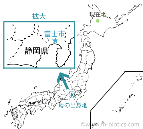 静岡県富士市　地図