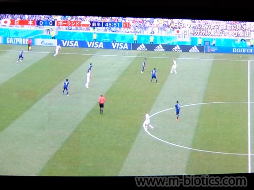 サッカーワールドカップ2018