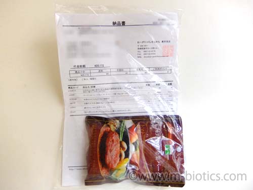 七種野菜の全菜バーグ