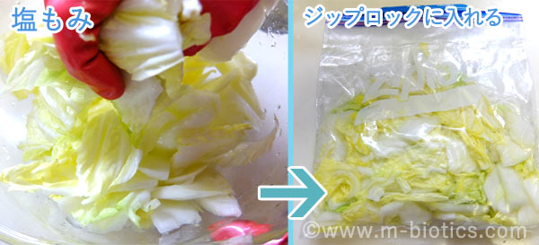 キムチ鍋 レシピ 白菜 マルサン