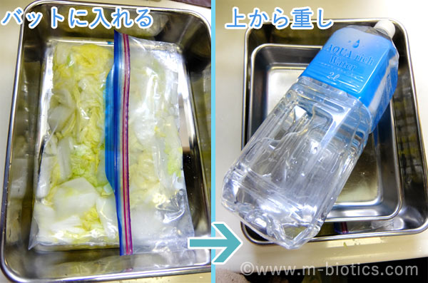 キムチ鍋 レシピ 白菜 マルサン