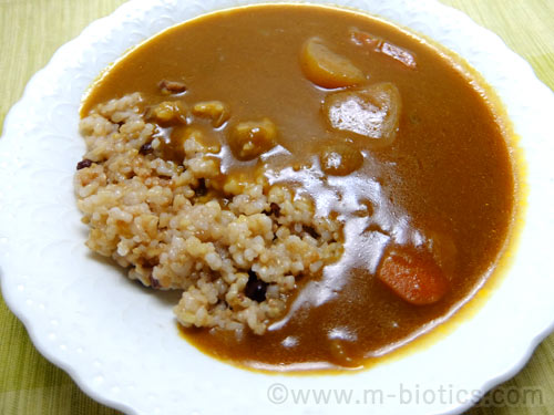 ベジタリアンのための野菜カレー