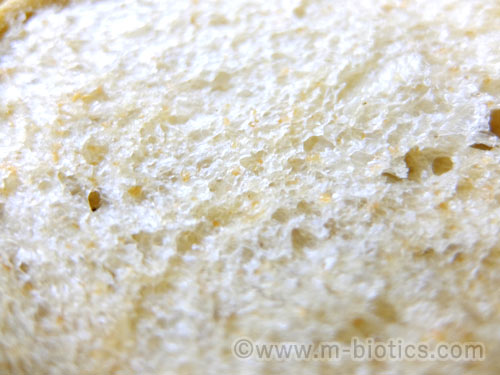 有機全粒粉　食パン　レシピ