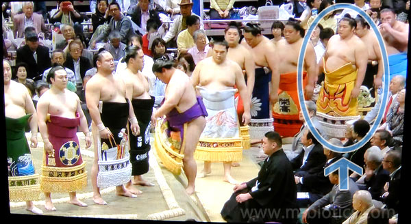 大相撲】遠藤の永谷園化粧まわし第8弾は「金色」！ 隈取り