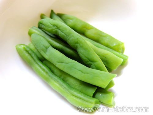 無農薬野菜 宅配 ミレー お試しセット いんげん