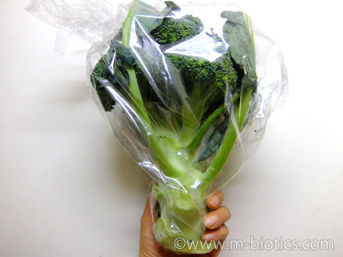 無農薬野菜 宅配 ミレー お試しセット