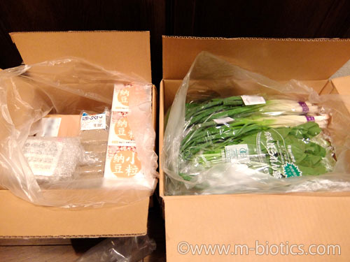 無農薬野菜 宅配 ミレー お試しセット