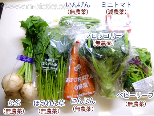 無農薬野菜 宅配 ミレー お試しセット