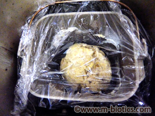ホームベーカリー 食パン 美味しく上手に焼くコツ