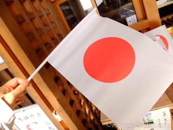 旭川神社　夏詣　日の丸　旗