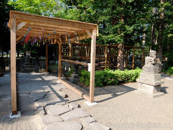 旭川神社　夏詣　風鈴　夢風鈴