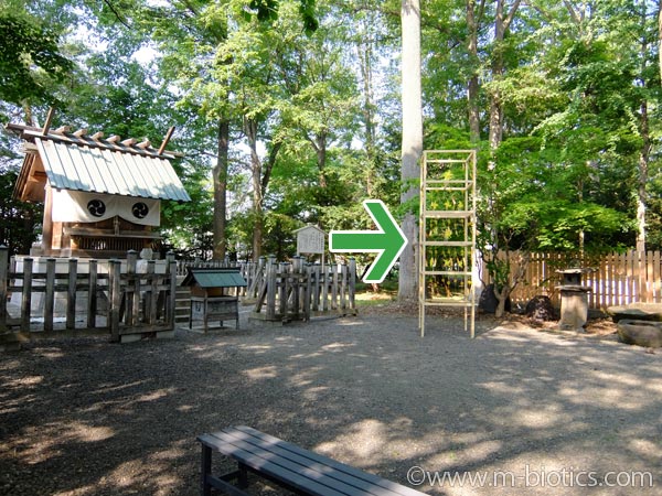 旭川神社　夏詣　風鈴　夢風鈴