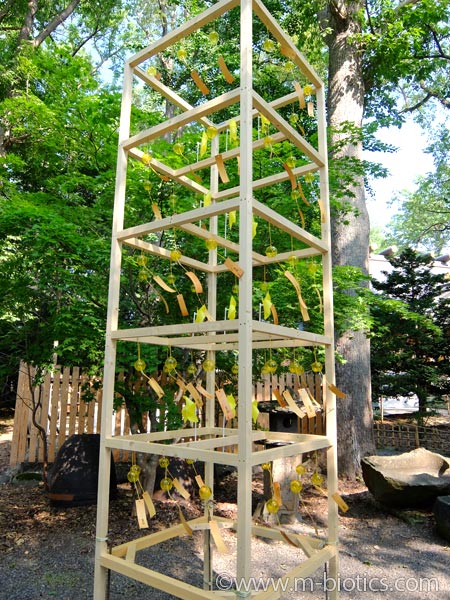 旭川神社　夏詣　風鈴　夢風鈴