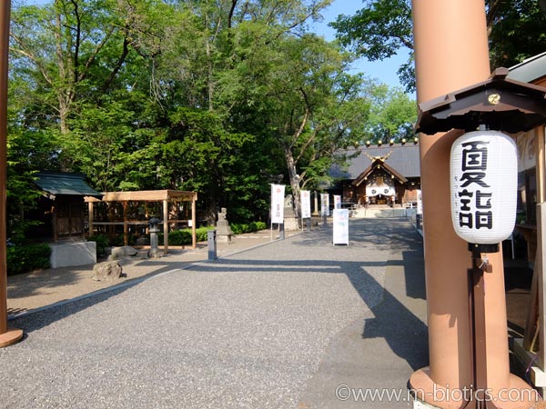 旭川神社　夏詣　提灯