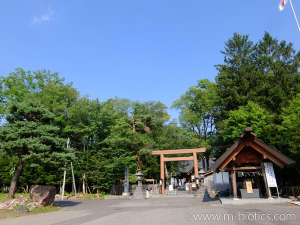 旭川神社　夏詣