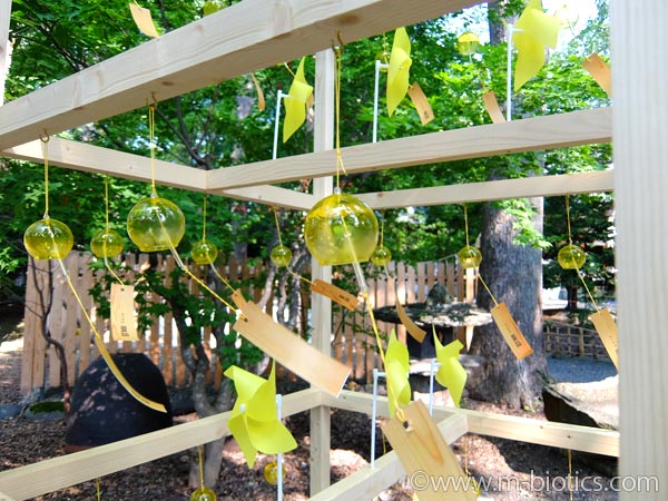 旭川神社　夏詣