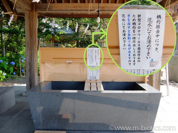 旭川神社　夏詣　手水舎