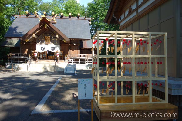 旭川神社　夏詣　風鈴　夢風鈴