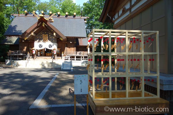 旭川神社　夏詣　風鈴　夢風鈴