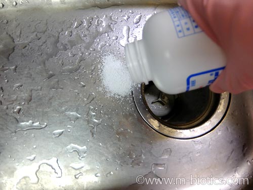 台所　排水口　排水管　ピーピースルーF　使用方法　やり方　まわりにまく