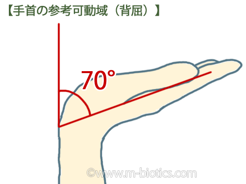 手首　参考可動域　痛い　豆状骨　TFCC損傷