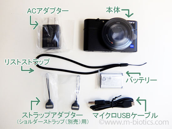 レビュー】ソニーDSC- RX100（初代）を購入！～ボケ味がすごい。マクロ